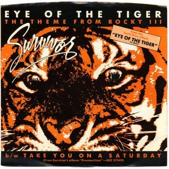 eye of the tiger
